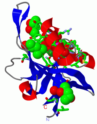 Image Asym./Biol. Unit - manually