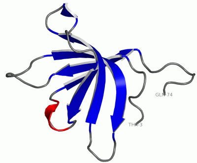 Image Asym./Biol. Unit - manually