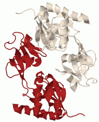 Image Biol.Unit 1 - manually