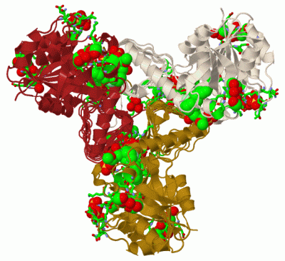 Image Biol.Unit 1 - manually