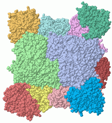 Image Asym./Biol. Unit - manually