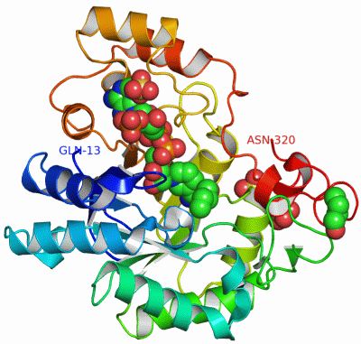 Image Asym./Biol. Unit - manually