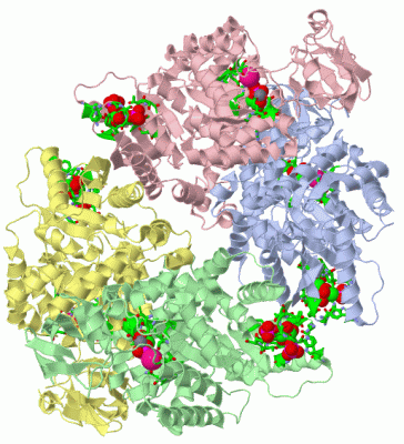 Image Asym./Biol. Unit - manually