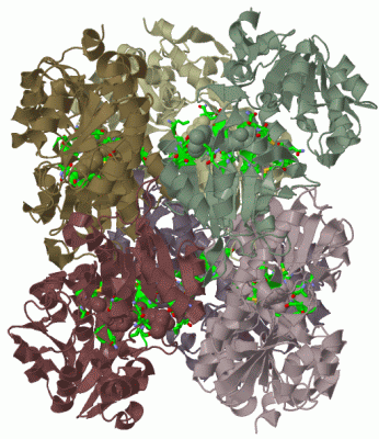 Image Biol.Unit 1 - manually