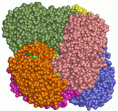 Image Asym./Biol. Unit - manually