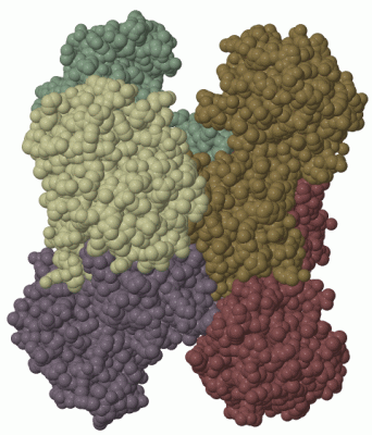 Image Biol.Unit 1 - manually