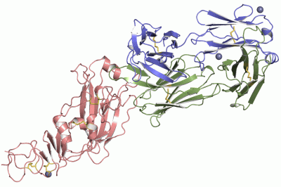 Image Asym./Biol. Unit - manually