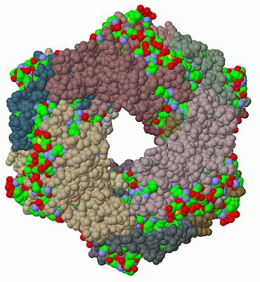 Image Biol.Unit 1 - manually