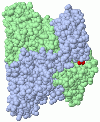 Image Biol.Unit 1 - manually