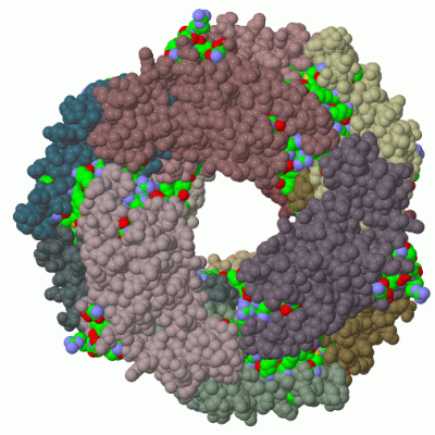 Image Biol.Unit 1 - manually