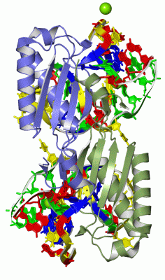 Image Asym./Biol. Unit - manually