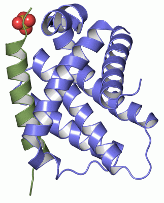 Image Asym./Biol. Unit - manually