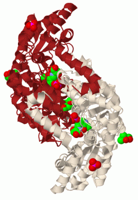 Image Biol.Unit 1 - manually