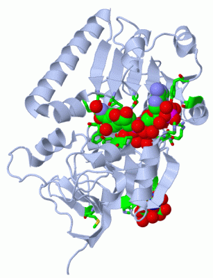 Image Biol.Unit 1 - manually