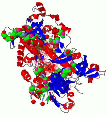 Image Asym./Biol. Unit - manually