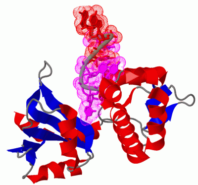 Image Biol.Unit 1 - manually