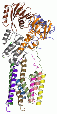 Image Asym./Biol. Unit - manually