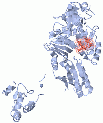 Image Biol.Unit 1 - manually