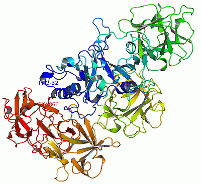 Image Asym./Biol. Unit - manually