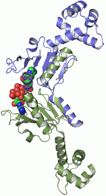 Image Asym./Biol. Unit - manually