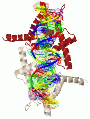 Image Biol.Unit 1 - manually