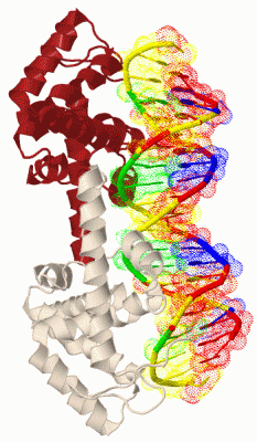 Image Biol.Unit 1 - manually