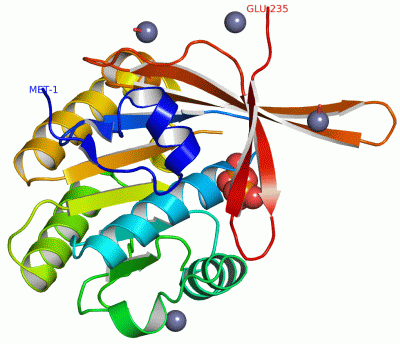 Image Asym./Biol. Unit - manually