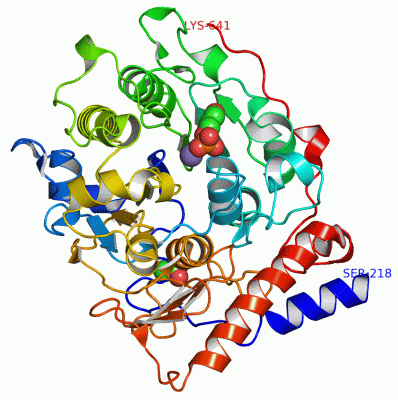 Image Asym./Biol. Unit - manually