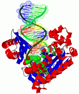 Image Asym./Biol. Unit - manually