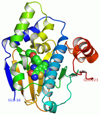 Image Asym./Biol. Unit - manually