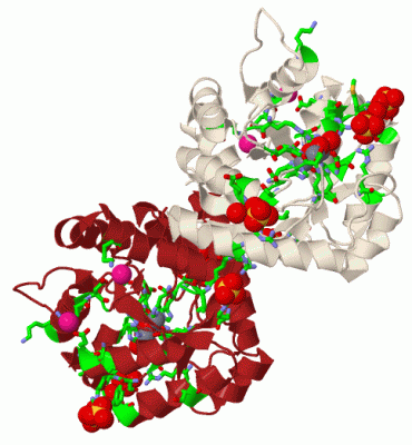 Image Biol.Unit 1 - manually