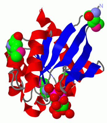 Image Biol.Unit 1 - manually