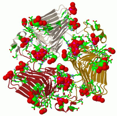 Image Biol.Unit 1 - manually