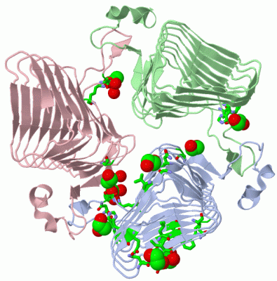 Image Asym./Biol. Unit - manually