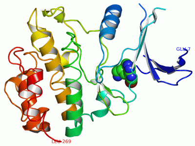 Image Asym./Biol. Unit - manually