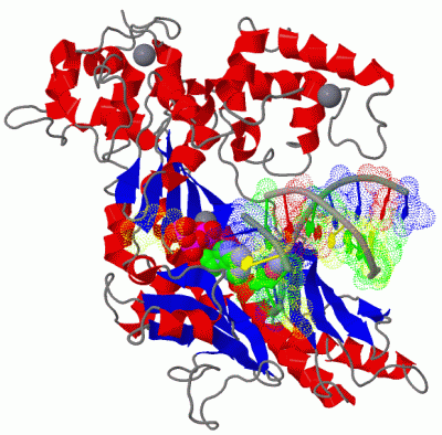 Image Biol.Unit 1 - manually