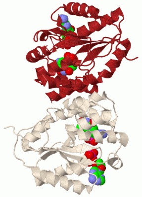 Image Biol.Unit 1 - manually