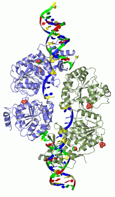 Image Asym./Biol. Unit - manually