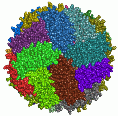 Image Asym./Biol. Unit - manually