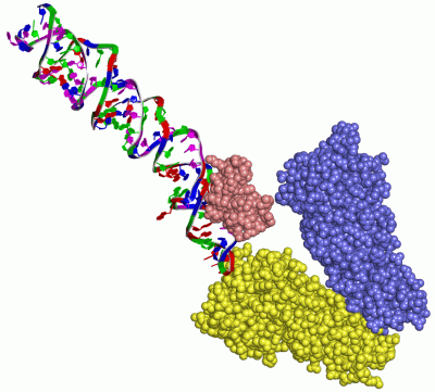 Image Asym./Biol. Unit - manually