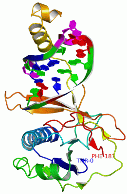 Image Asym./Biol. Unit - manually