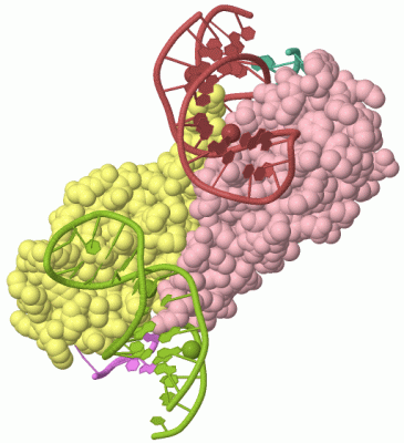 Image Biol.Unit 1 - manually