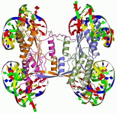 Image Asym./Biol. Unit - manually