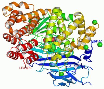 Image Asym./Biol. Unit - manually