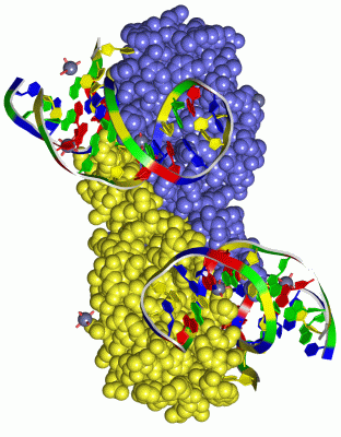 Image Asym./Biol. Unit - manually