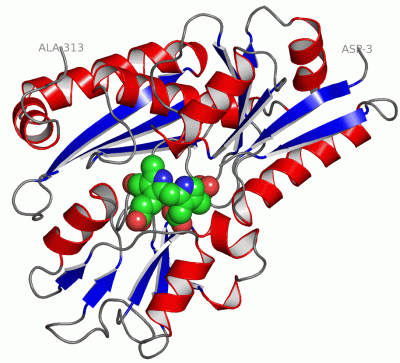 Image Asym./Biol. Unit - manually