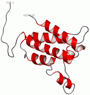 Image NMR Structure - manually