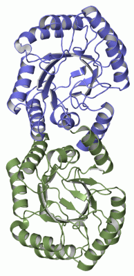 Image Asym./Biol. Unit - manually