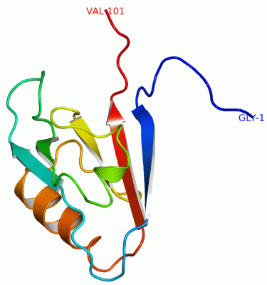 Image NMR Structure - manually
