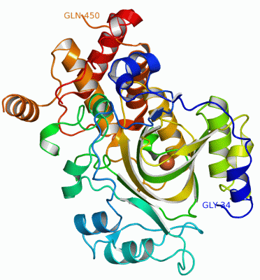 Image Asym./Biol. Unit - manually